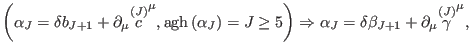 $\displaystyle \left( \alpha _{J}=\delta b_{J+1}+\partial _{\mu }\overset{(J)}{c...
... \alpha _{J}=\delta \beta _{J+1}+\partial _{\mu }\overset{(J)}{\gamma }^{\mu },$